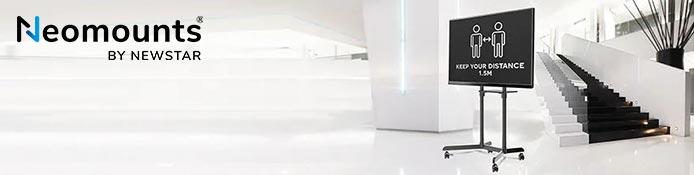 Neomounts TV Bodenständer, Fernsehhalter, Monitorständer, TV Standfuß