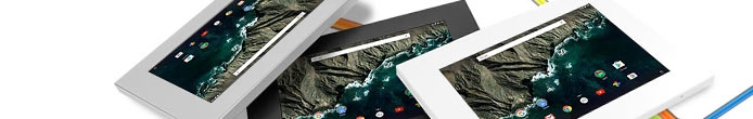 Hochwertige diebstahlsichere Tablet Schutzgehäuse für alle Google Pixel C